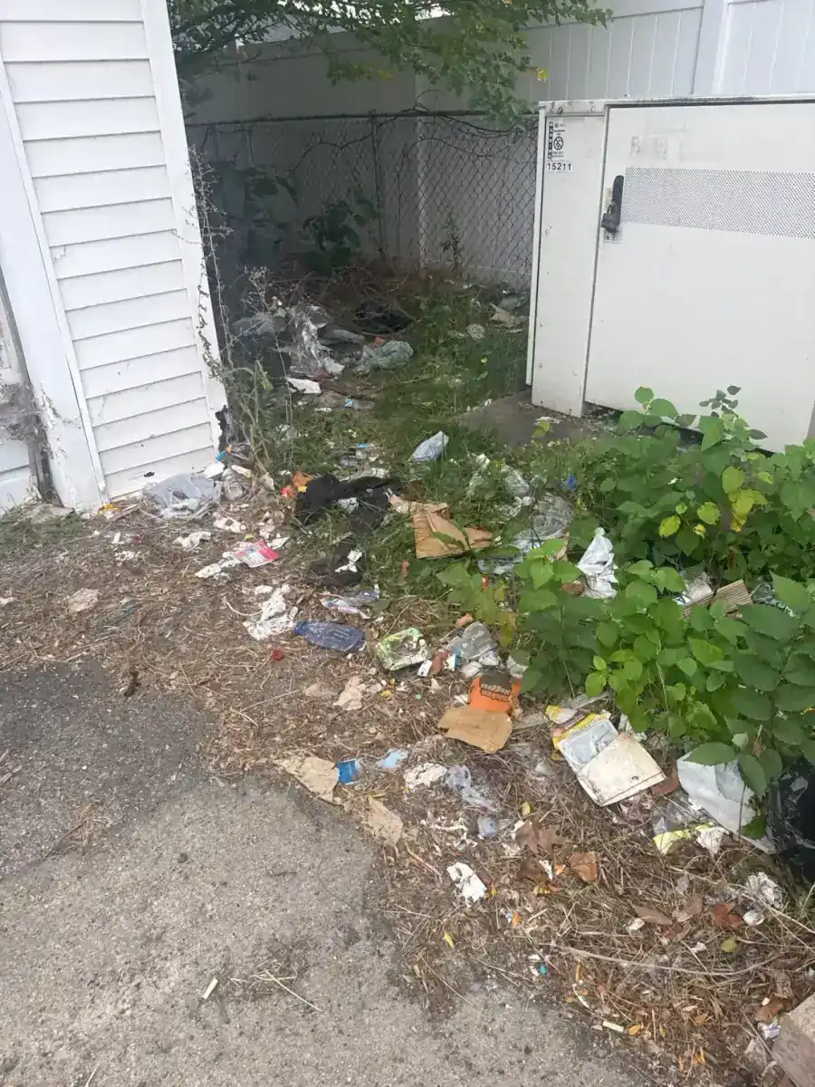 Discarded debris and weeds around exterior utility equipment before cleanup