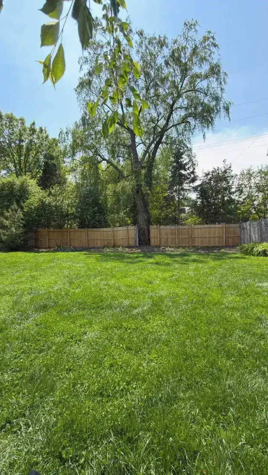 Privacy fence area after the old fence was removed in Grosse Pointe Park, Michigan