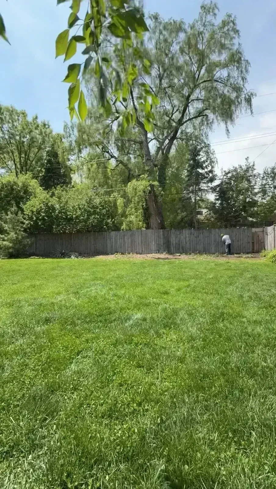Existing wood privacy fence before removal in Grosse Pointe Park, Michigan